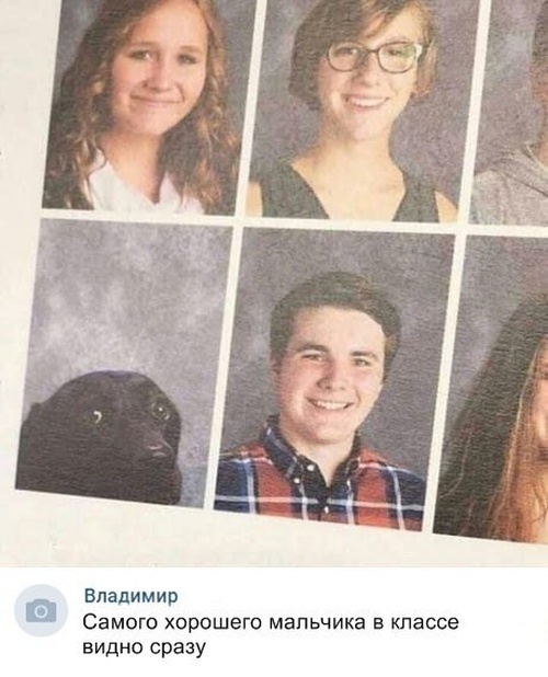 Прикольные картинки