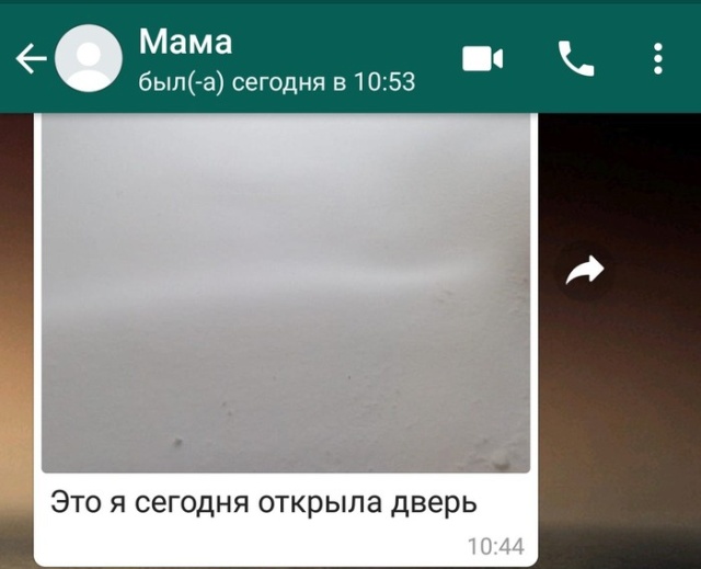 Когда всю ночь шел снег
