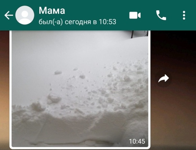 Когда всю ночь шел снег