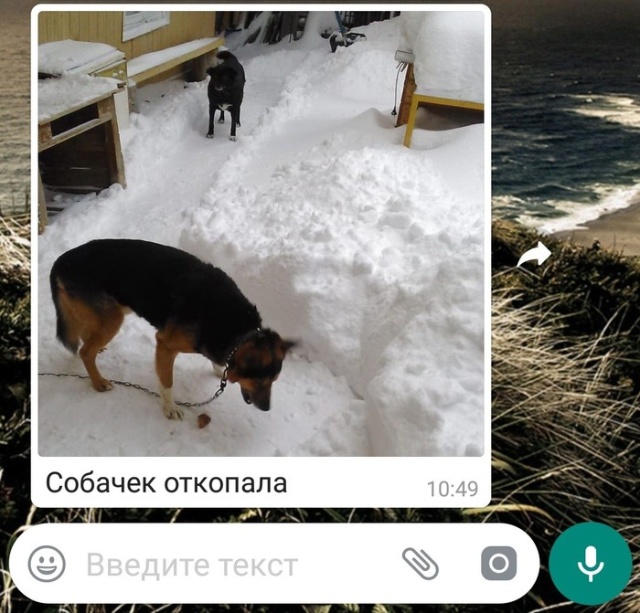 Когда всю ночь шел снег