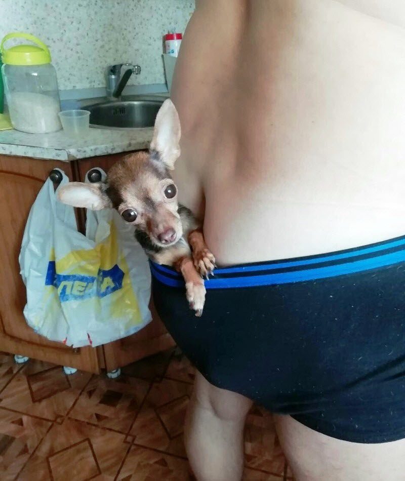 Чудики из социальных сетей