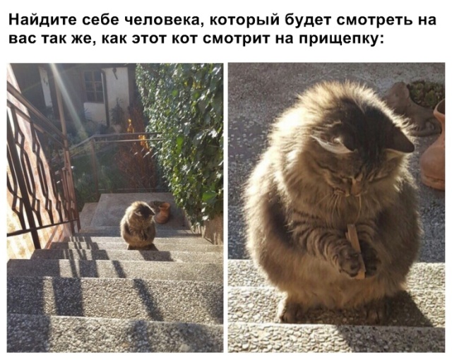Прикольные картинки