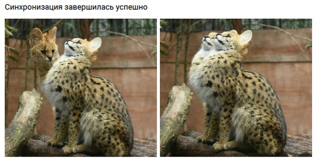 Прикольные картинки