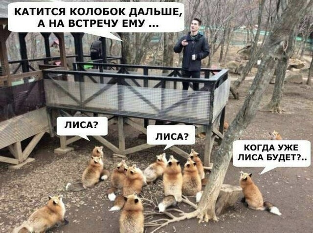 Прикольные картинки