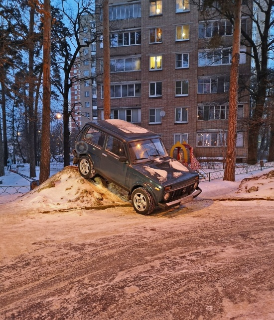 Прикольные картинки