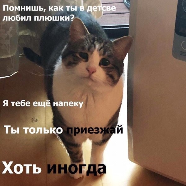 Простой юмор с просторов сети