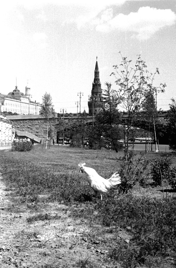 Архивные фотографии и события из прошлого