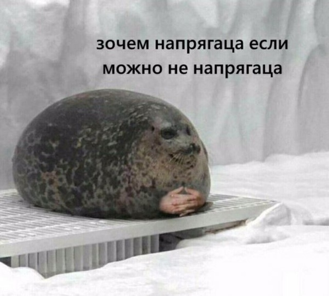 Юмор и шутки без смысловой нагрузки