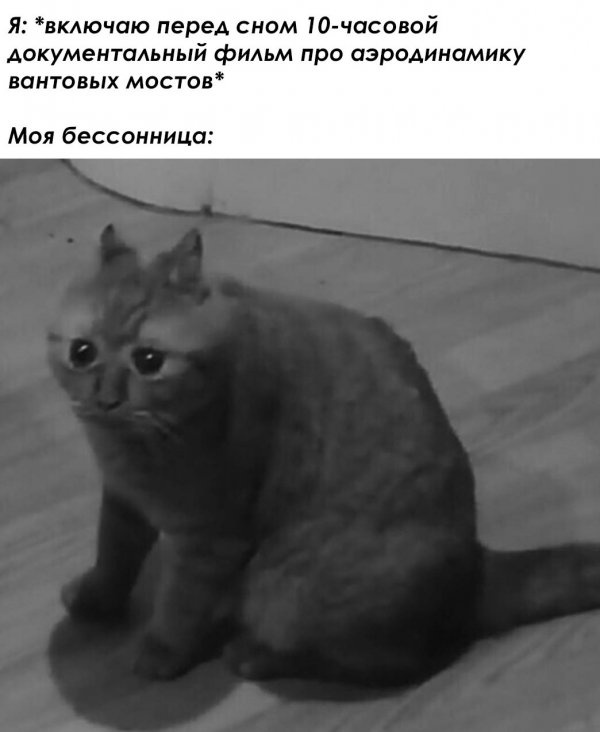 Юмор и шутки без смысловой нагрузки