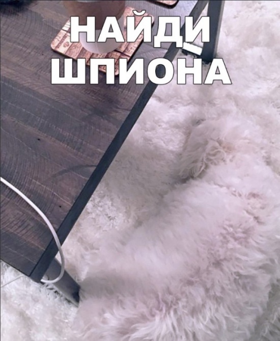 Юмор и шутки без смысловой нагрузки