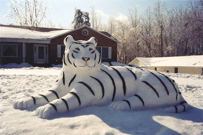 Что ещё можно слепить из снега