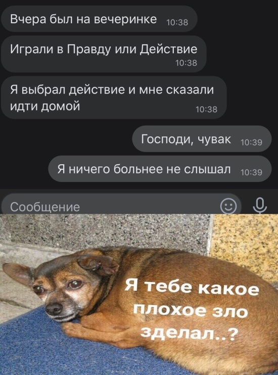 Прикольные картинки