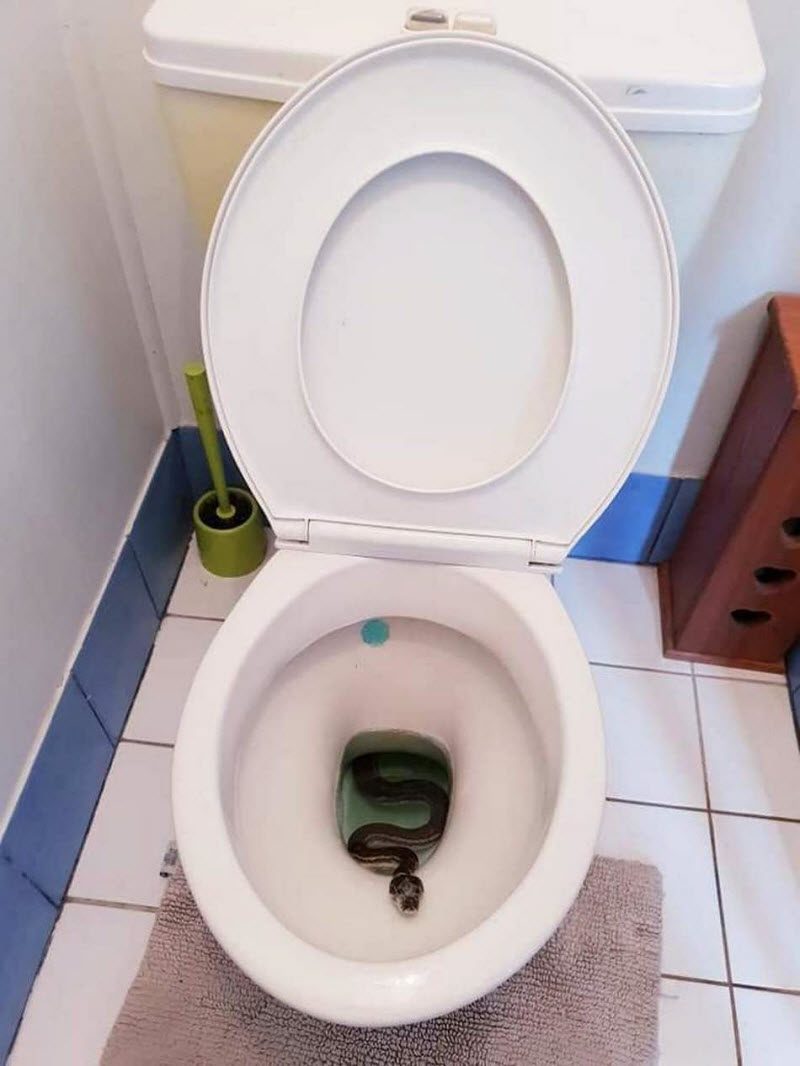 Бывают в жизни огорчения