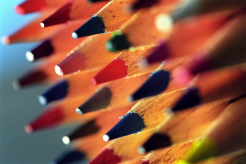 20 любопытных фактов о теле, которые заставят вас взглянуть на людей по-новому 20 любопытных фактов о теле, которые заставят вас взглянуть на людей по-новому