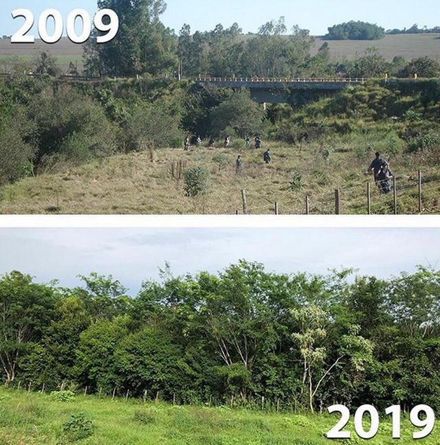 Экологические организации присоединились к 10YearChallenge