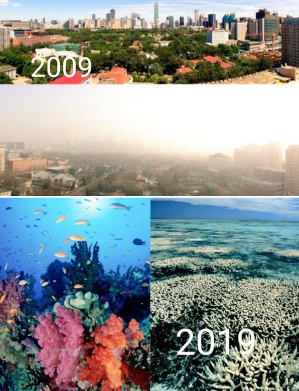 Экологические организации присоединились к 10YearChallenge