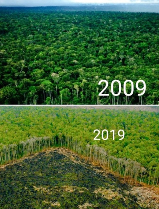 Экологические организации присоединились к 10YearChallenge