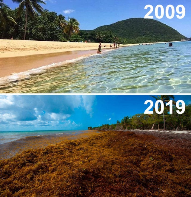 Фотографии от экологических организаций мира в стиле 10YearChallenge