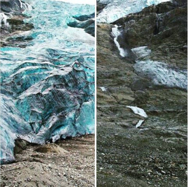 Фотографии от экологических организаций мира в стиле 10YearChallenge