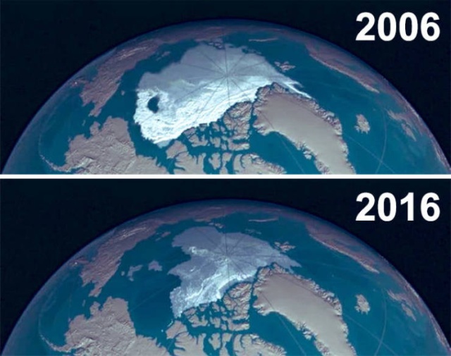 Фотографии от экологических организаций мира в стиле 10YearChallenge