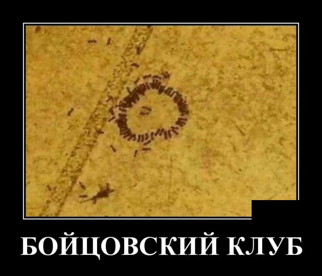 Демотиваторы