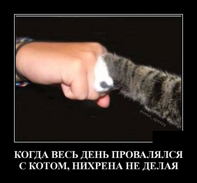 Демотиваторы