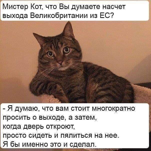 Комментарии и смешные высказывания из социальных сетей