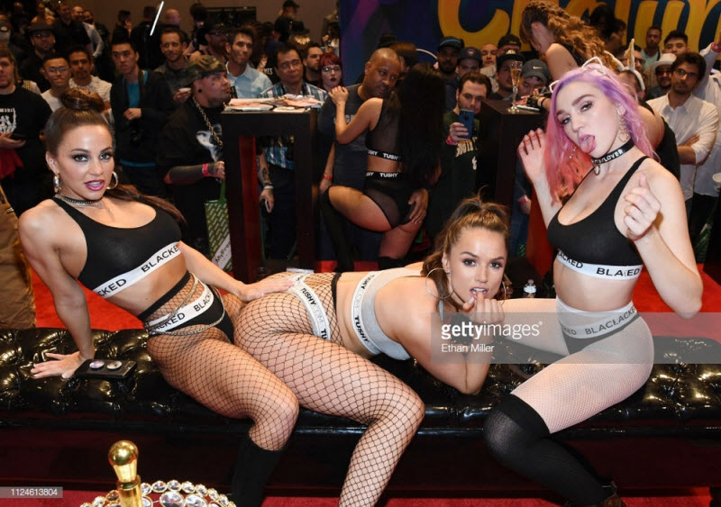 Выставка развлечений для взрослых AVN 2019