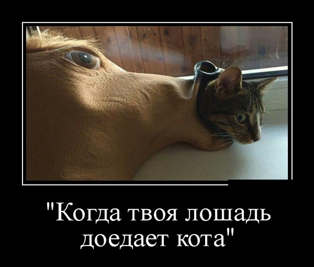 Демотиваторы