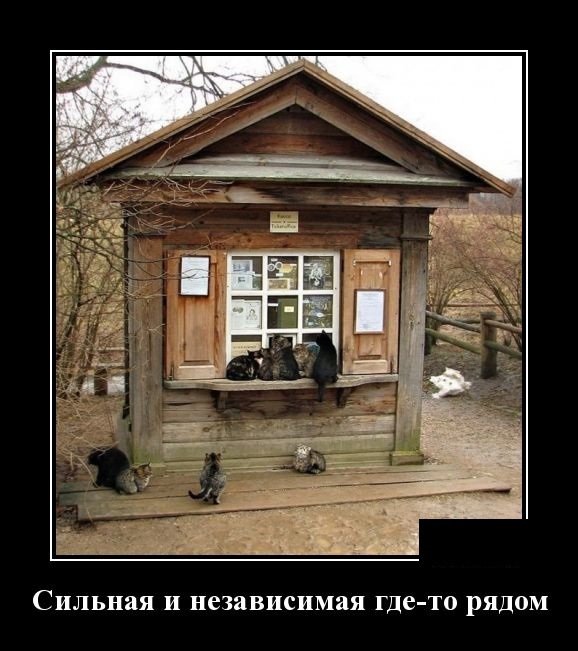 Демотиваторы