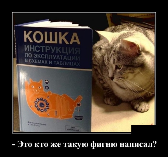 Демотиваторы