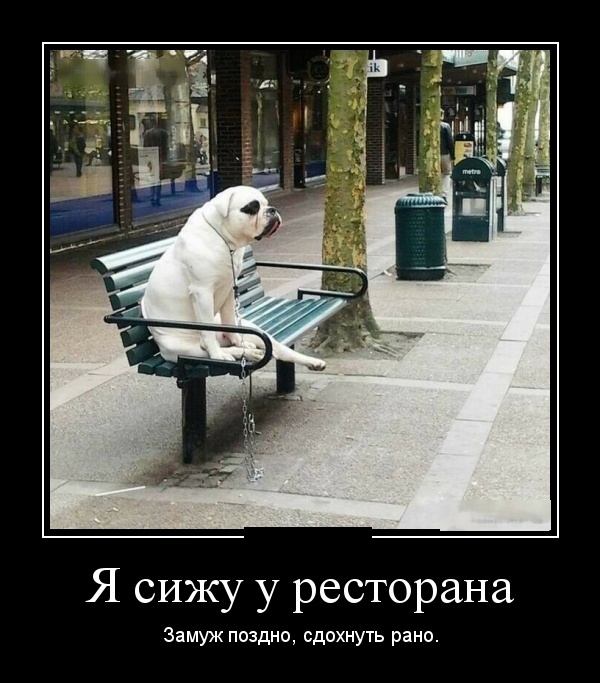 Демотиваторы