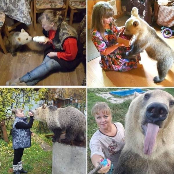 Прикольные картинки