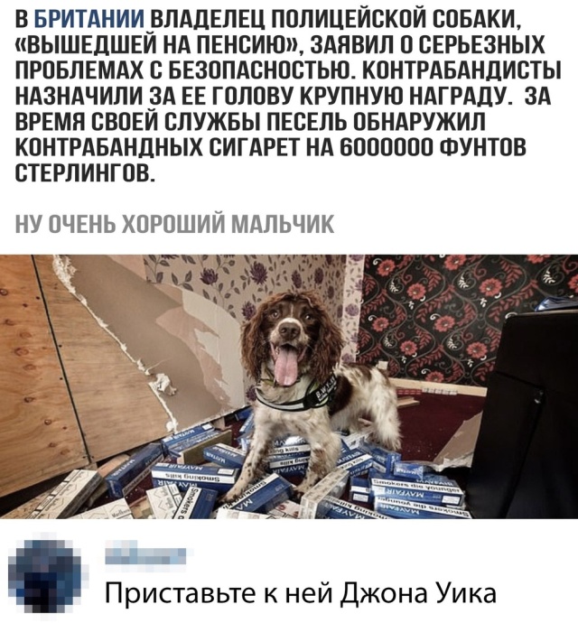 Прикольные картинки
