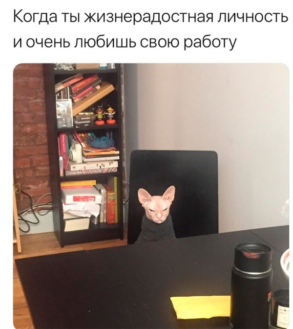 Прикольные картинки
