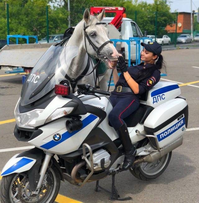 Прикольные картинки