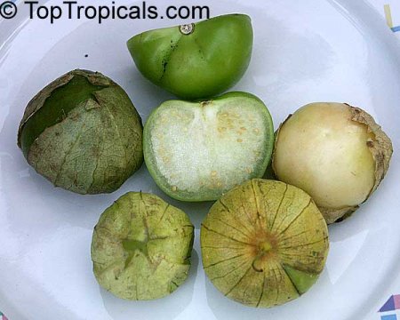 Замечательные экзотические фрукты