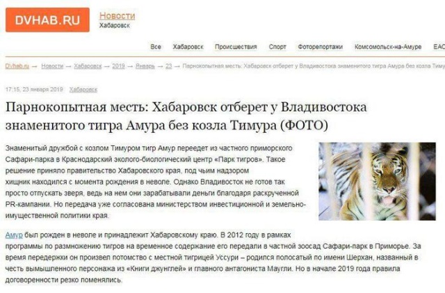 Подборка забавных новостных заголовков
