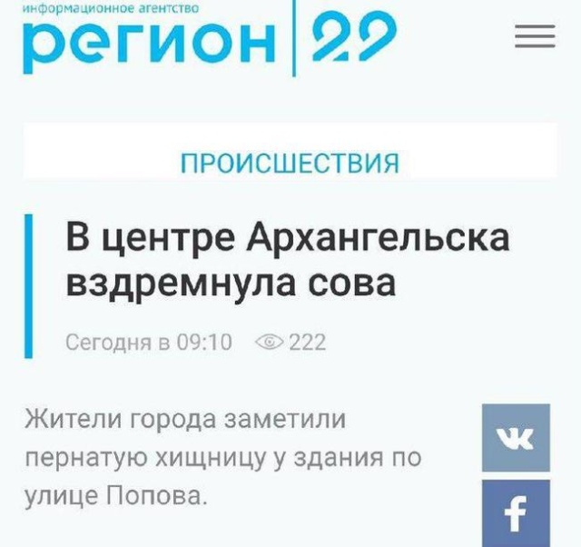Подборка забавных новостных заголовков