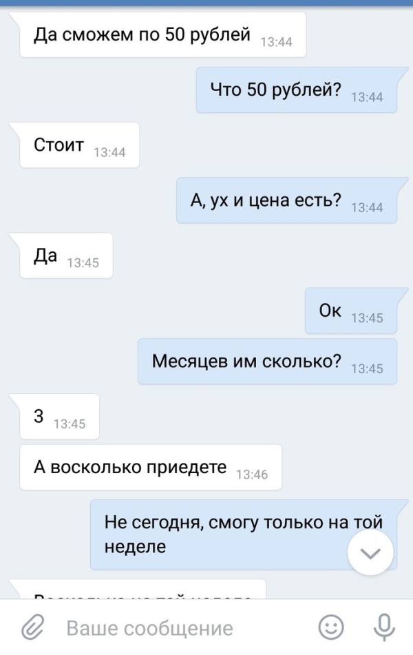 Как подрастающий бизнесмен продавал щенков