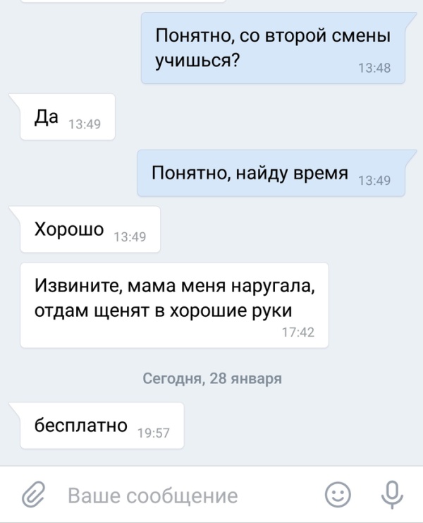 Как подрастающий бизнесмен продавал щенков