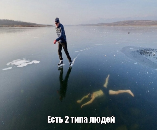 Прикольные картинки