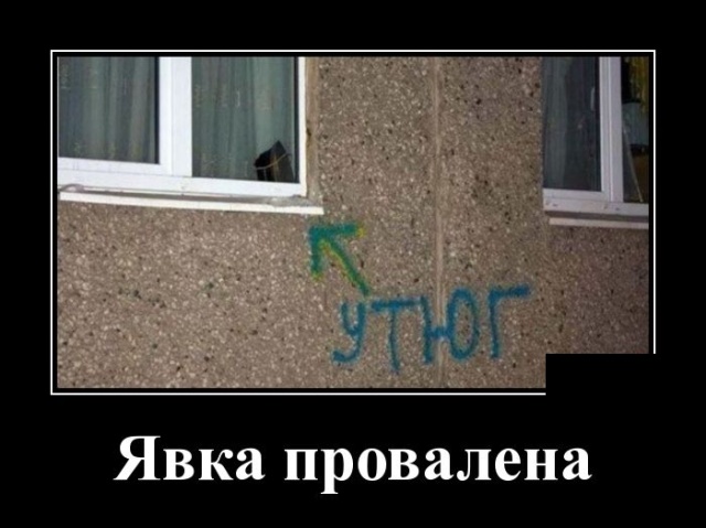 Демотиваторы