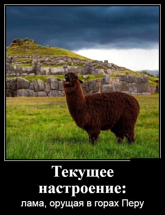 Демотиваторы