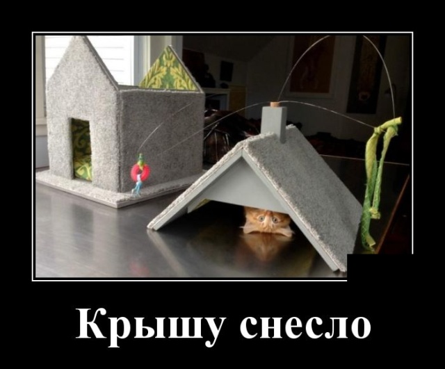 Демотиваторы
