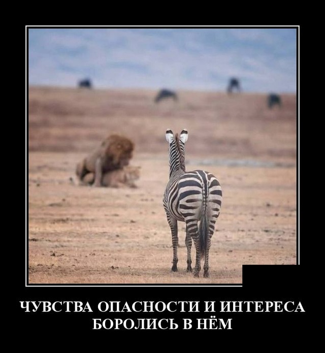 Демотиваторы