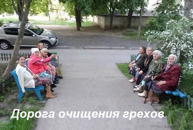 Прикольные картинки