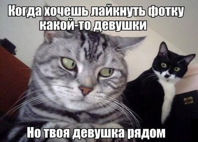 Прикольные картинки