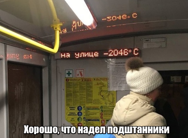 Прикольные картинки