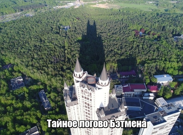 Прикольные картинки
